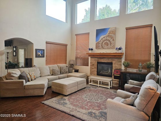 4373 Soda Springs Drive, Las Cruces, NM 88011 photo 5