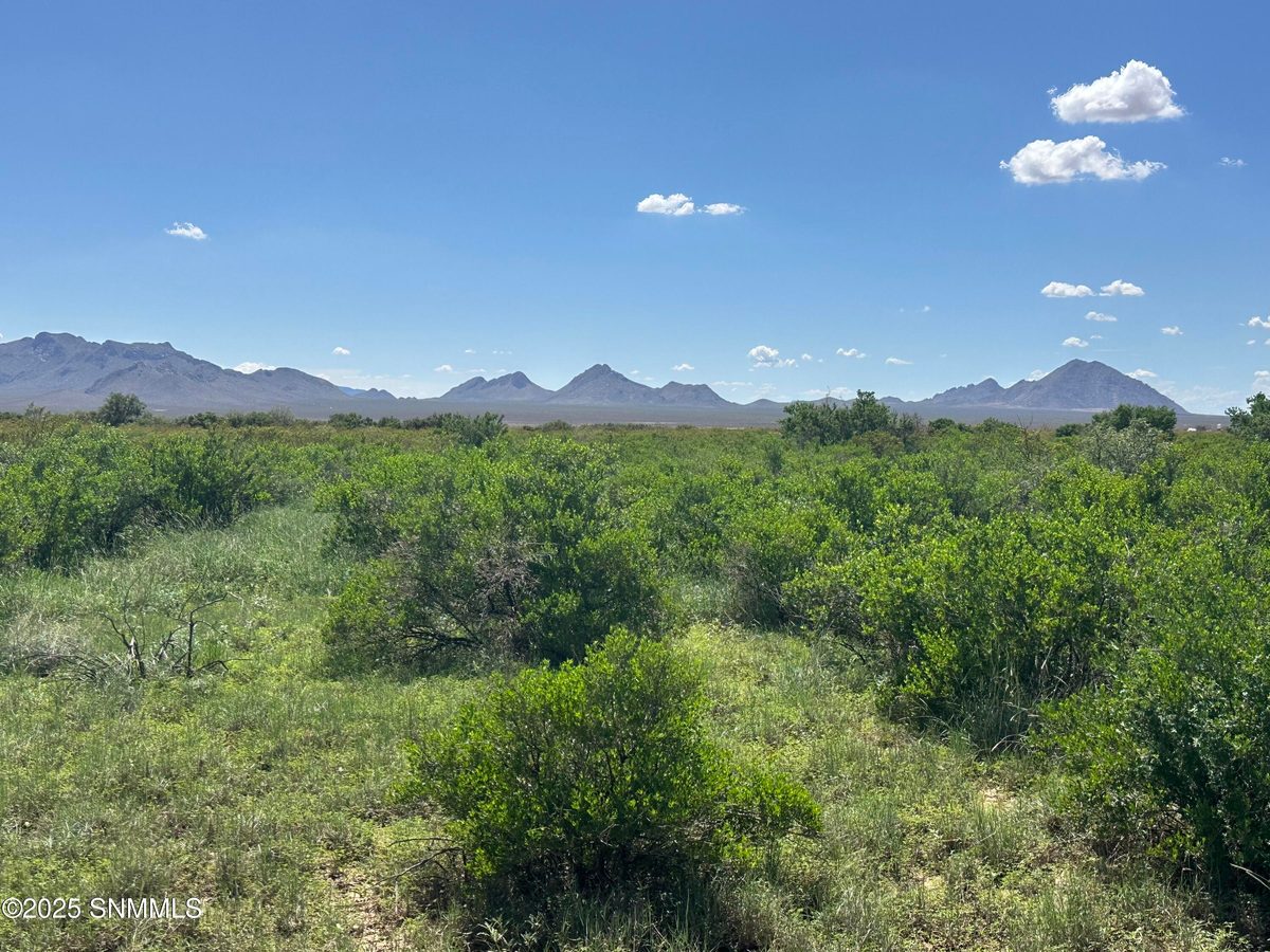 TBD Tasmania Avenue, Las Cruces, NM 88012 photo 1