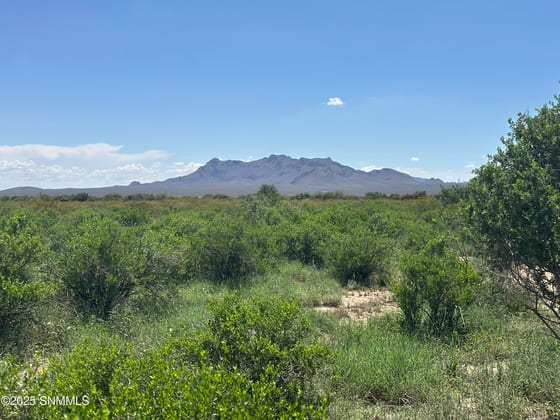 TBD Tasmania Avenue, Las Cruces, NM 88012 photo 2