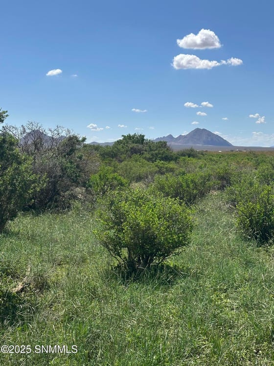 TBD Tasmania Avenue, Las Cruces, NM 88012 photo 3