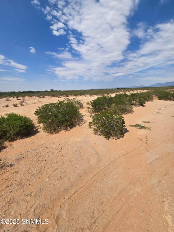 TBD Tasmania Avenue, Las Cruces, NM 88012 photo 4
