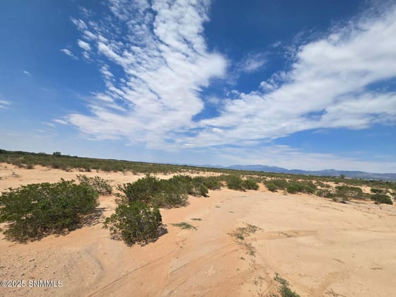 TBD Tasmania Avenue, Las Cruces, NM 88012 photo 5