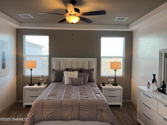 201 Frances Street, Sunland Park, NM 88008 photo 5