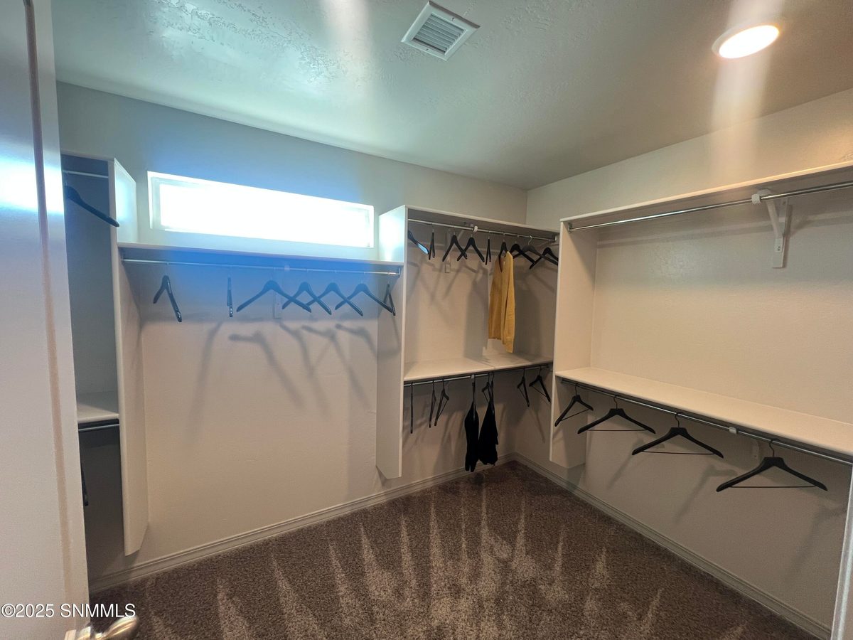 203 Frances Street, Sunland Park, NM 88008 photo 13