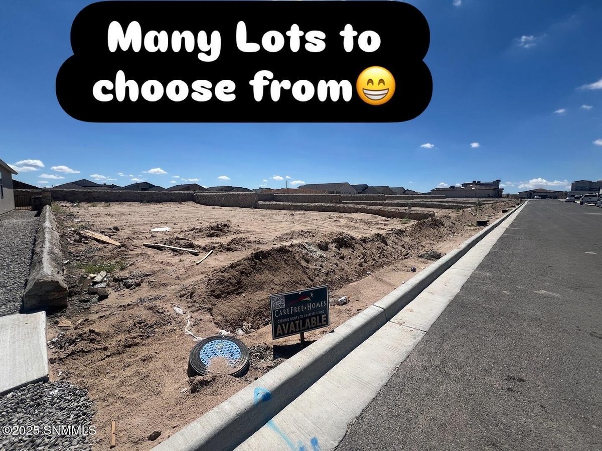 203 Frances Street, Sunland Park, NM 88008 photo 15