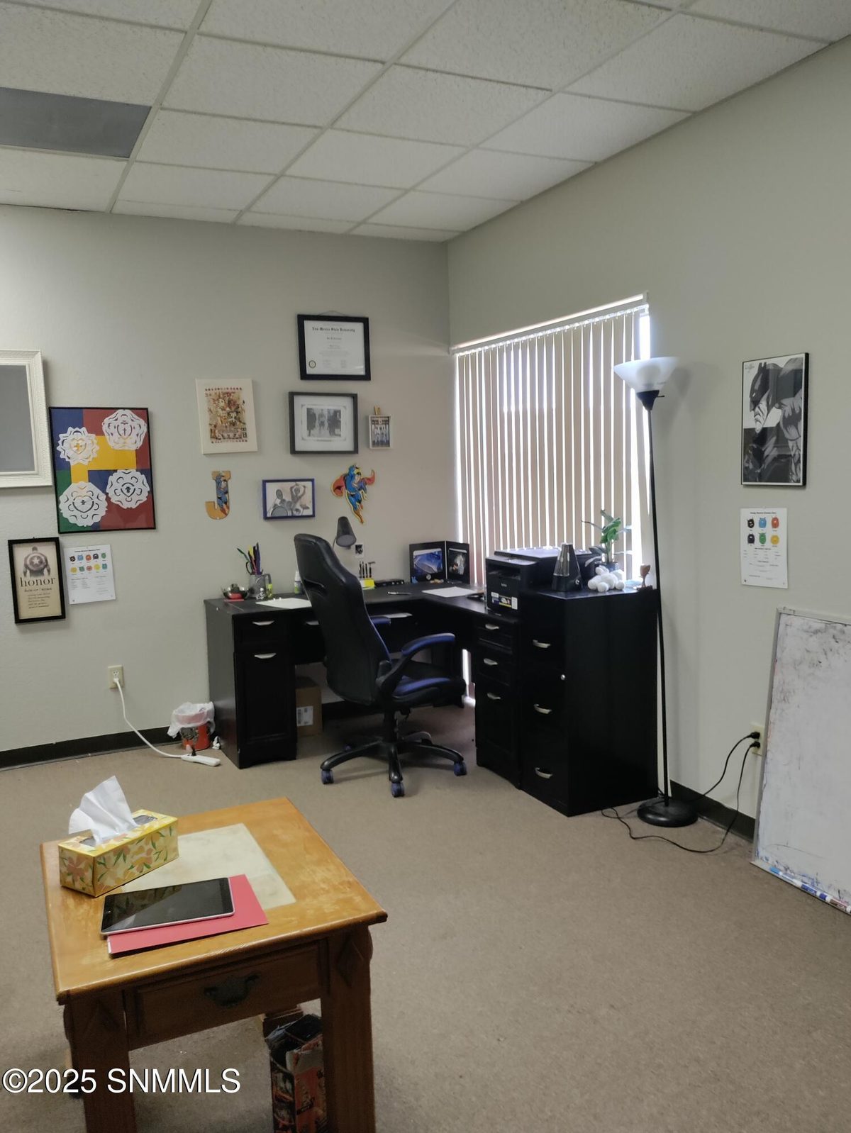 525 E Lohman Avenue, Las Cruces, NM 88001 photo 15
