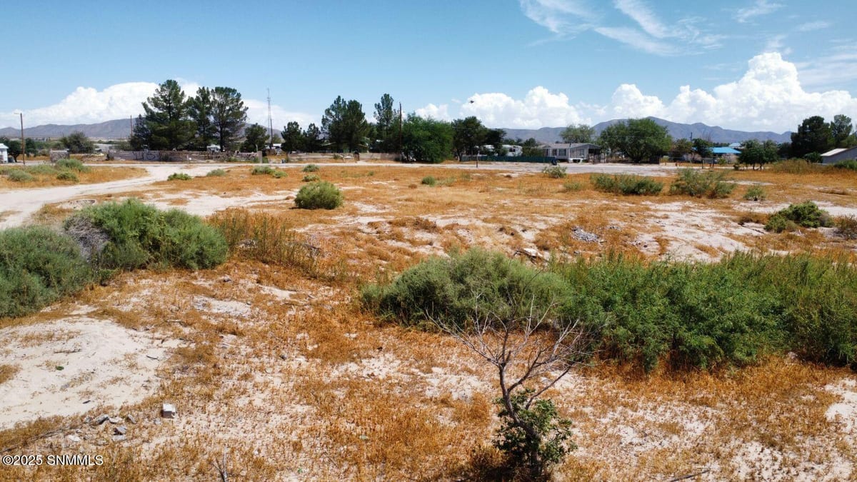 29 Los Cocos Lane #Tract C, Anthony, NM 88021, foto 5