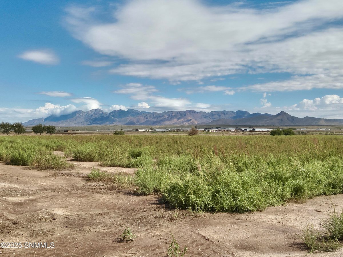 213 Sunshine Lane, Mesquite, NM 88048, foto 7