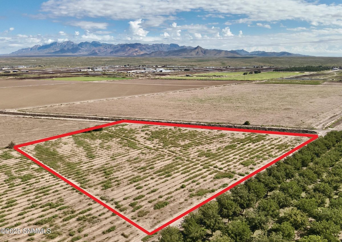 217 Sunshine Lane, Mesquite, NM 88048, foto 2
