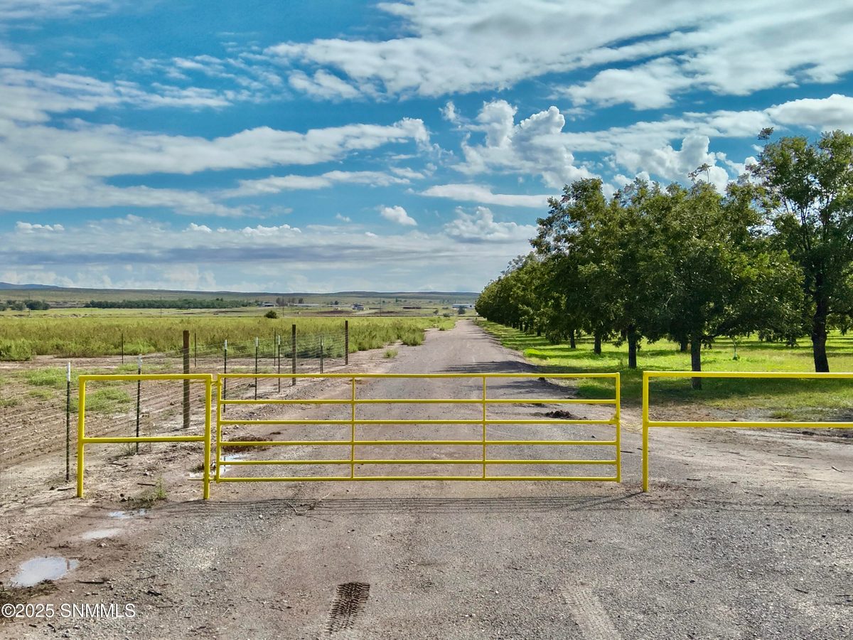 217 Sunshine Lane, Mesquite, NM 88048, foto 5