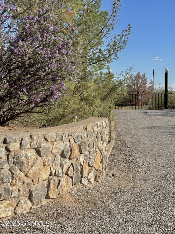 4015 Senna Drive, Las Cruces, NM 88011 photo 2
