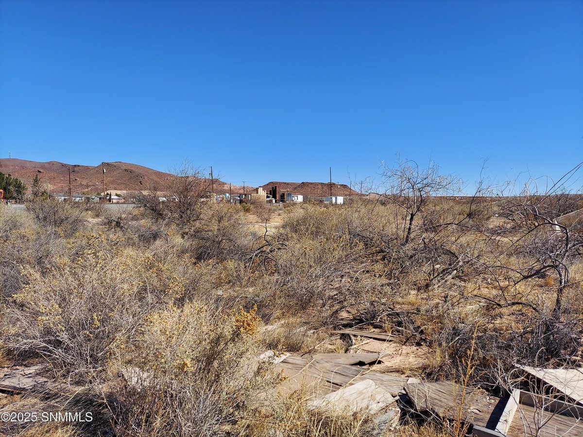 2212 Rincon Road, Rincon, NM 87940, foto 6