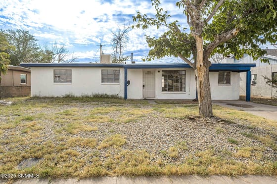 1424 thomas Drive, Las Cruces, NM 88001 photo 3