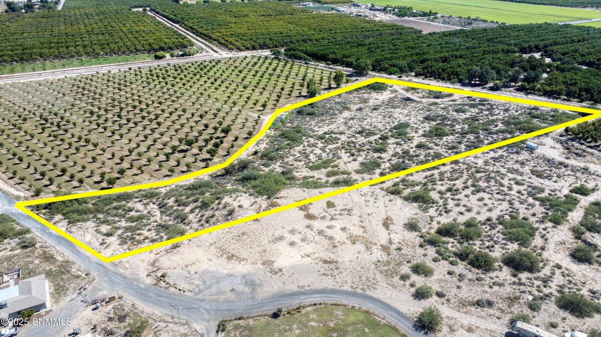230 Sandy Creek Road, Anthony, NM 88021, foto 11