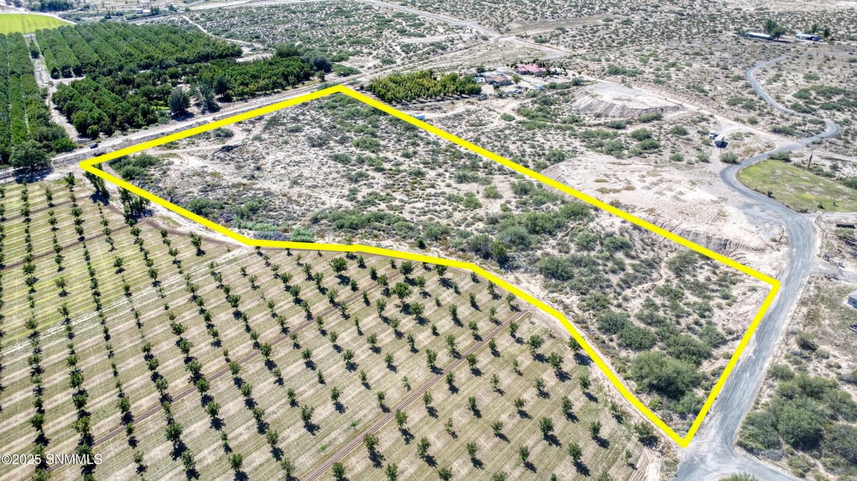 230 Sandy Creek Road, Anthony, NM 88021, foto 7
