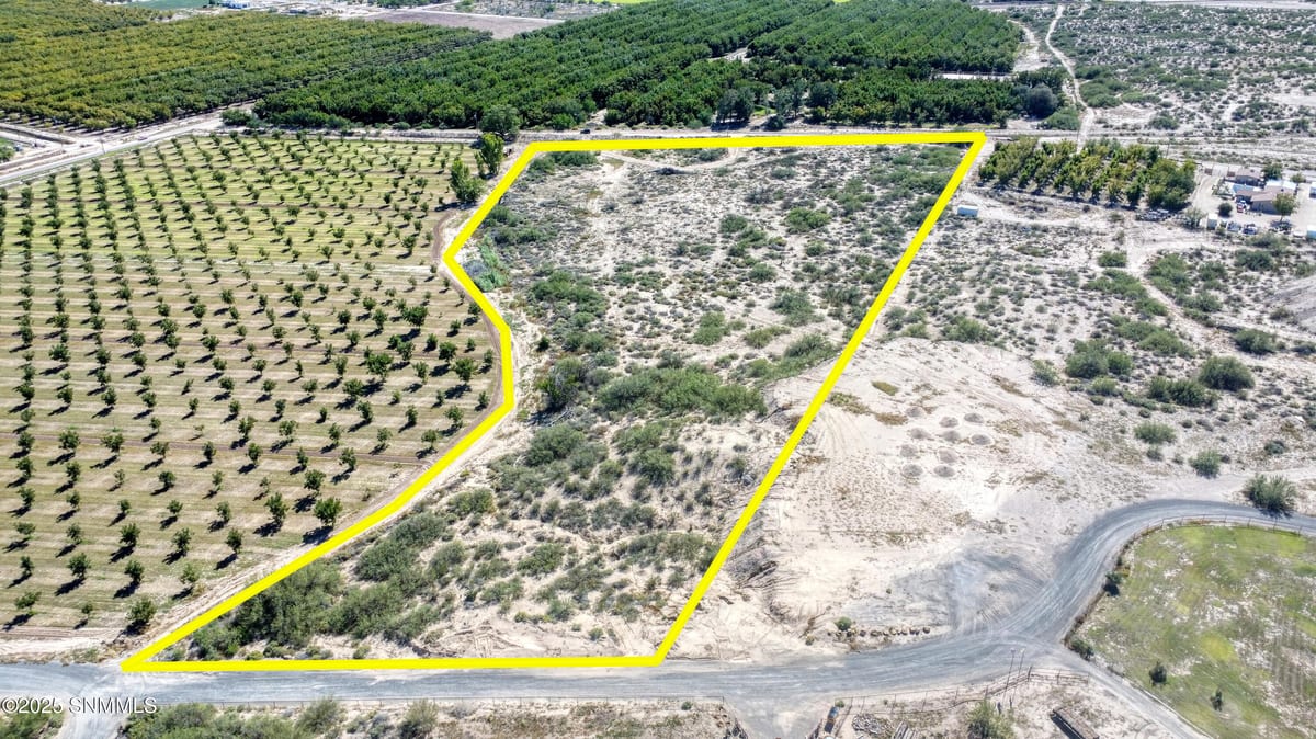 230 Sandy Creek Road, Anthony, NM 88021, foto 9