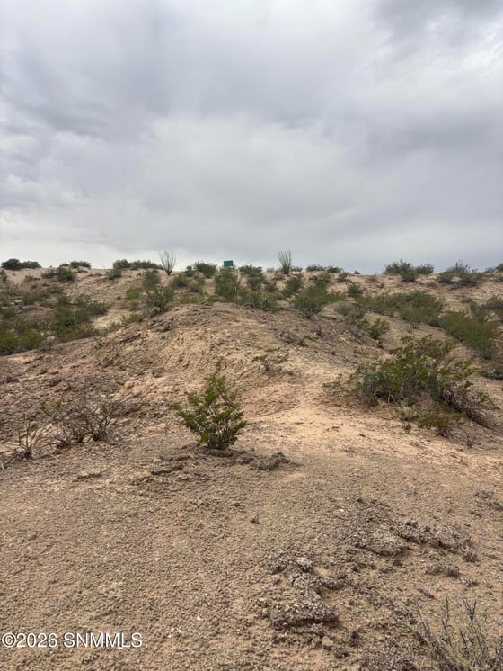 1286 Calle Ventanas, Las Cruces, NM 88007 photo 3