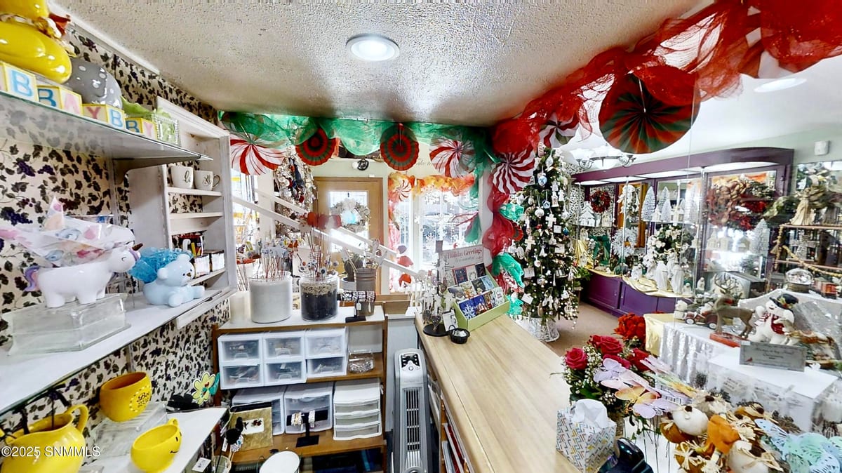405 W Alameda Street, Roswell, NM 88203 photo 11