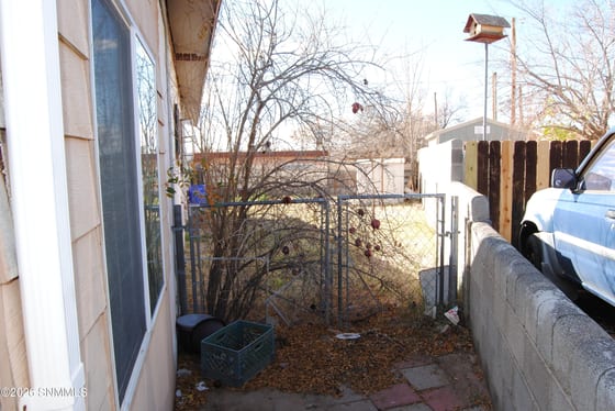 1737 E Idaho Avenue, Las Cruces, NM 88001 photo 5