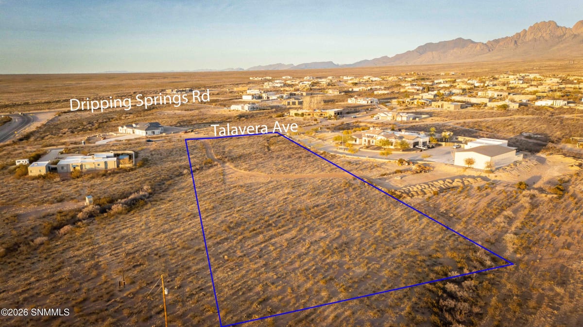 8658 Talavera Avenue, Las Cruces, NM 88011 photo 15