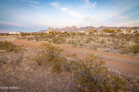 8658 Talavera Avenue, Las Cruces, NM 88011 photo 3