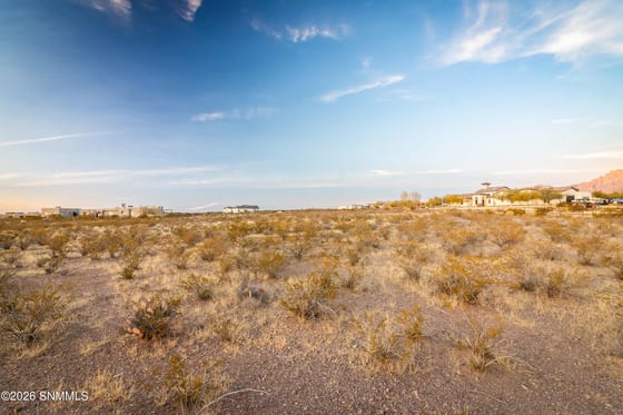 8658 Talavera Avenue, Las Cruces, NM 88011 photo 4