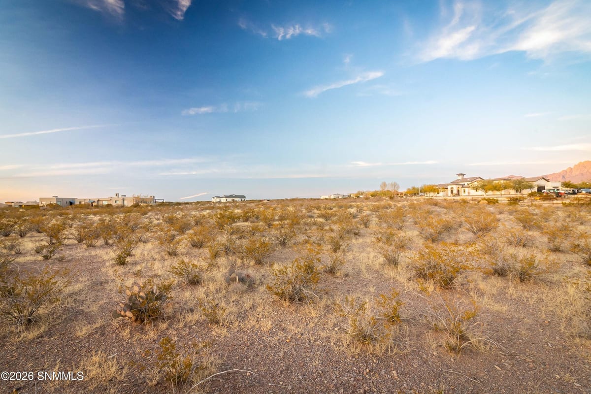 8658 Talavera Avenue, Las Cruces, NM 88011 photo 4