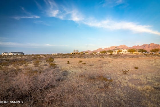 8658 Talavera Avenue, Las Cruces, NM 88011 photo 5