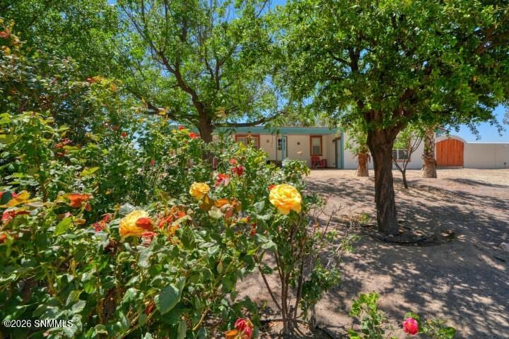 245 Hurt Road, Radium Springs, NM 88054 photo 6