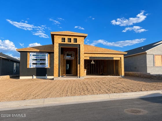 134 Monteine Trail, Sunland Park, NM 88008 photo 3