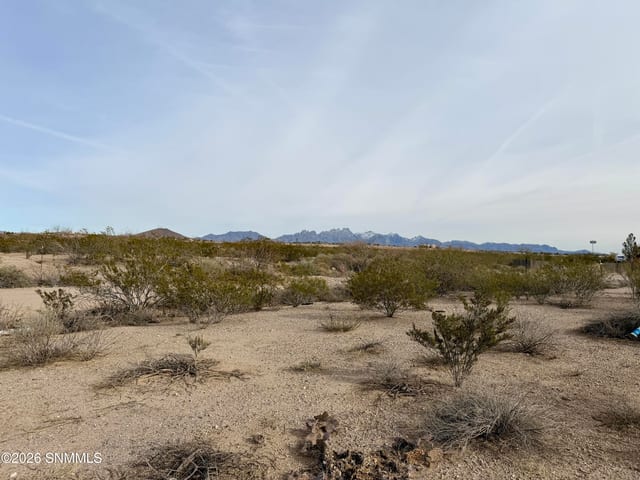 Lot 5 Vanegas Drive, Dona Ana, NM 88032, foto 3