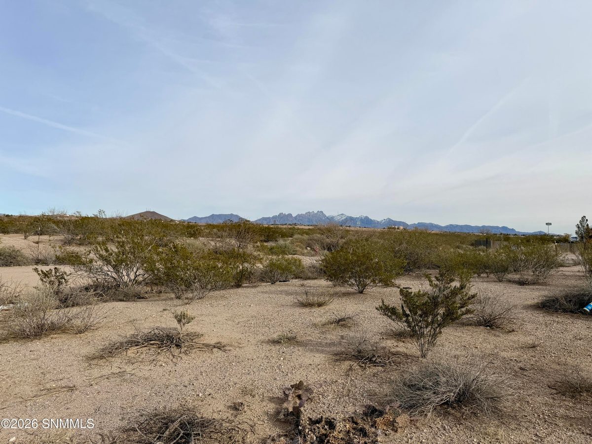Lot 5 Vanegas Drive, Dona Ana, NM 88032, foto 3