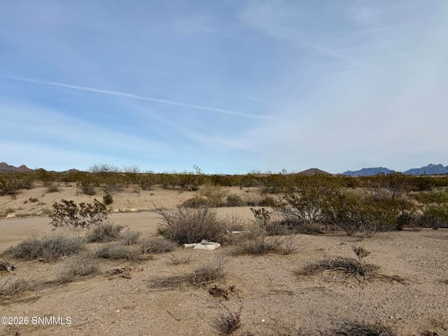 Lot 5 Vanegas Drive, Dona Ana, NM 88032, foto 4