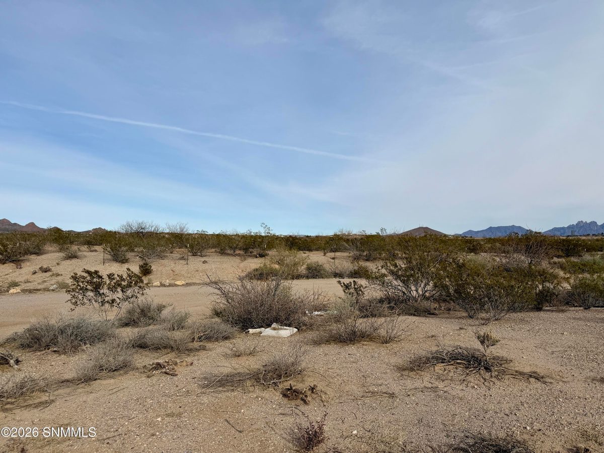 Lot 5 Vanegas Drive, Dona Ana, NM 88032, foto 4