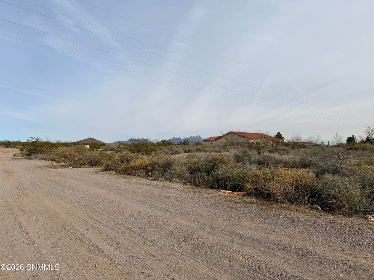 Lot 5 Vanegas Drive, Dona Ana, NM 88032, foto 5