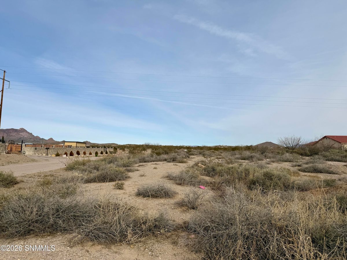 Lot 5 Vanegas Drive, Dona Ana, NM 88032, foto 6