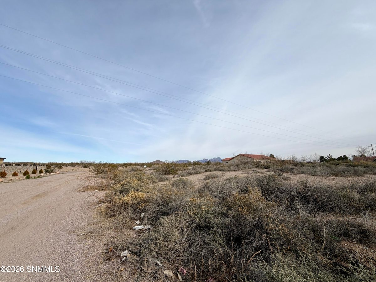 Lot 5 Vanegas Drive, Dona Ana, NM 88032, foto 8