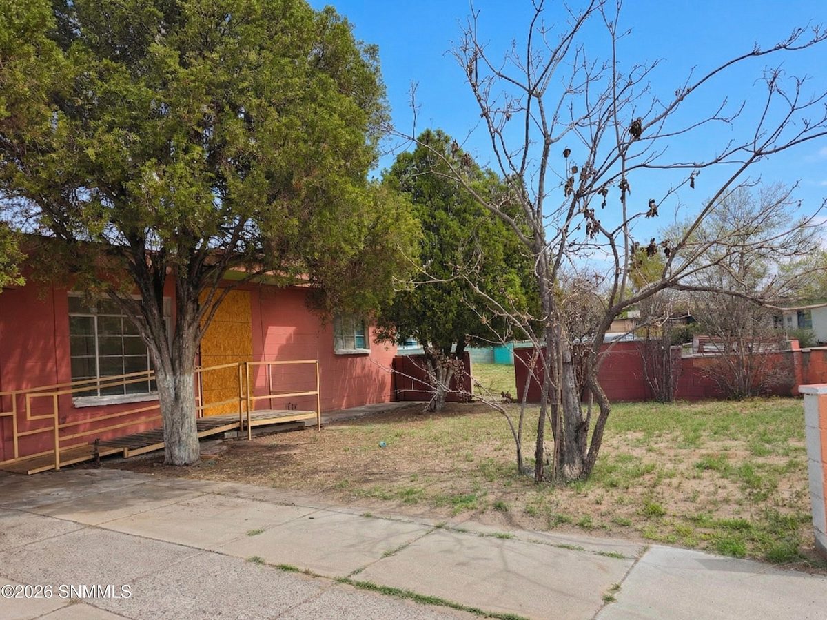 1209 S Locust Street, Las Cruces, NM 88001 photo 12