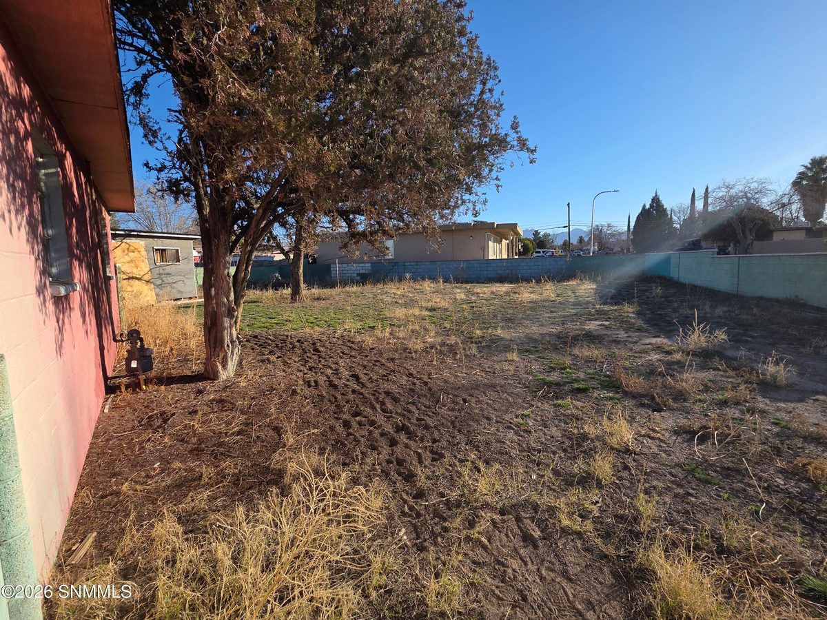 1209 S Locust Street, Las Cruces, NM 88001 photo 13