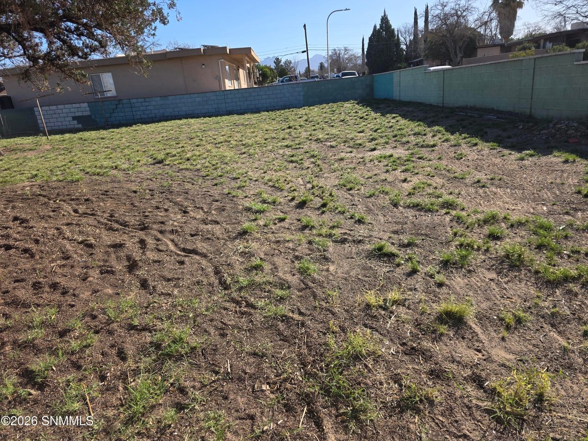 1209 S Locust Street, Las Cruces, NM 88001 photo 15