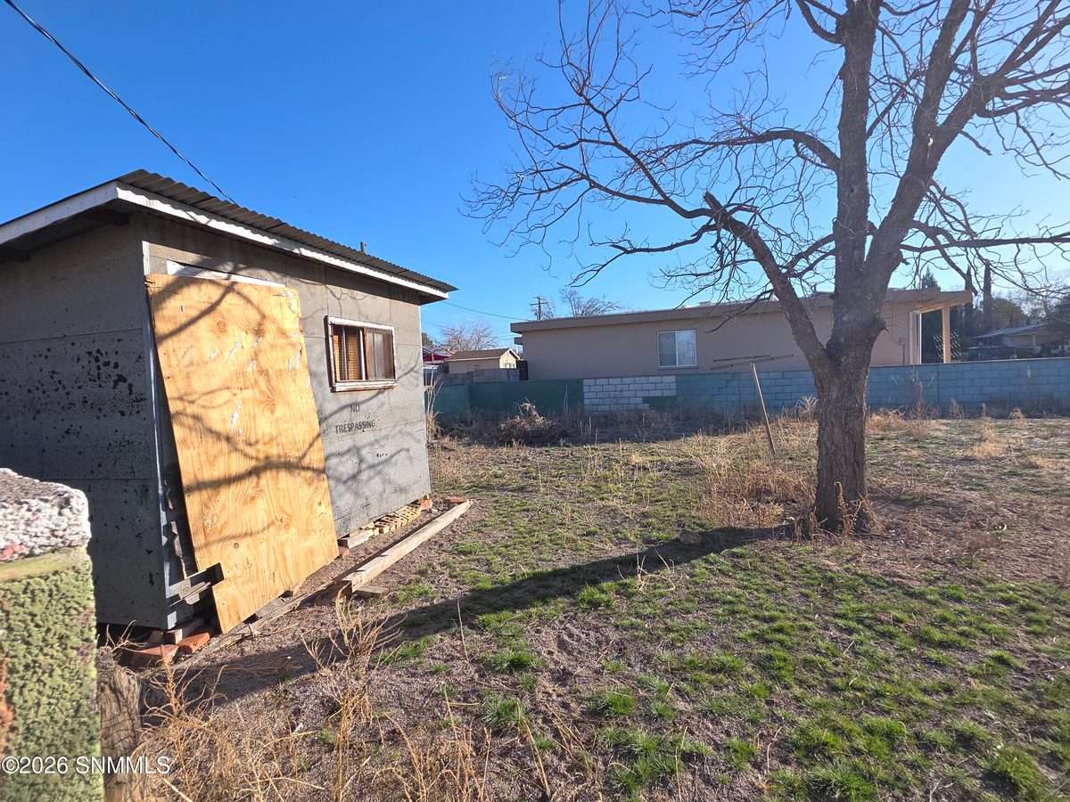 1209 S Locust Street, Las Cruces, NM 88001 photo 16