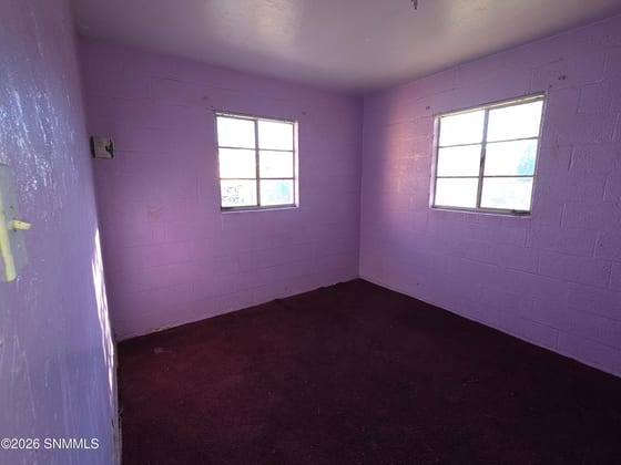 1209 S Locust Street, Las Cruces, NM 88001 photo 5