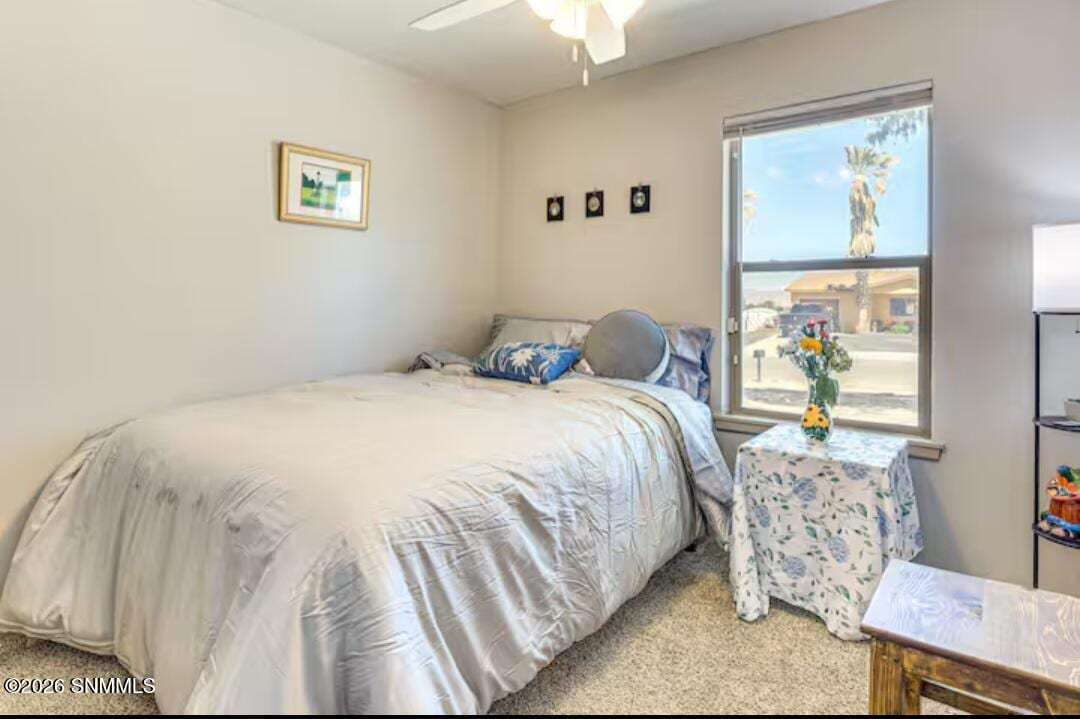 1886 Webster Avenue, Las Cruces, NM 88001 photo 15