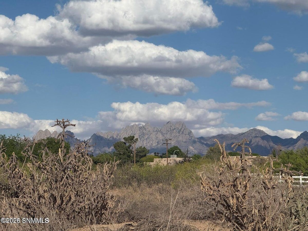 TBD Holliday, Las Cruces, NM 88007 photo 1