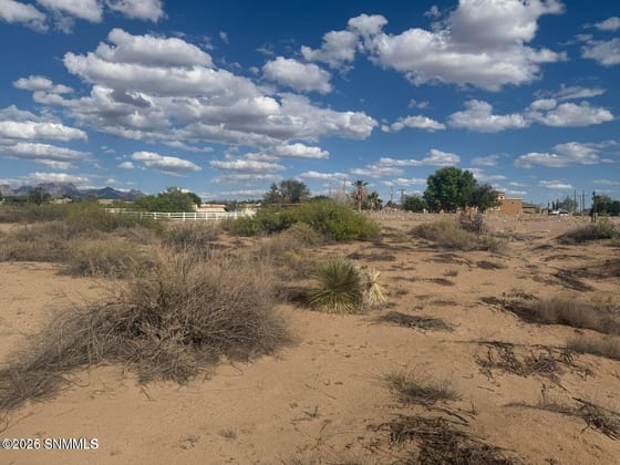TBD Holliday, Las Cruces, NM 88007 photo 2