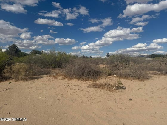 TBD Holliday, Las Cruces, NM 88007 photo 3