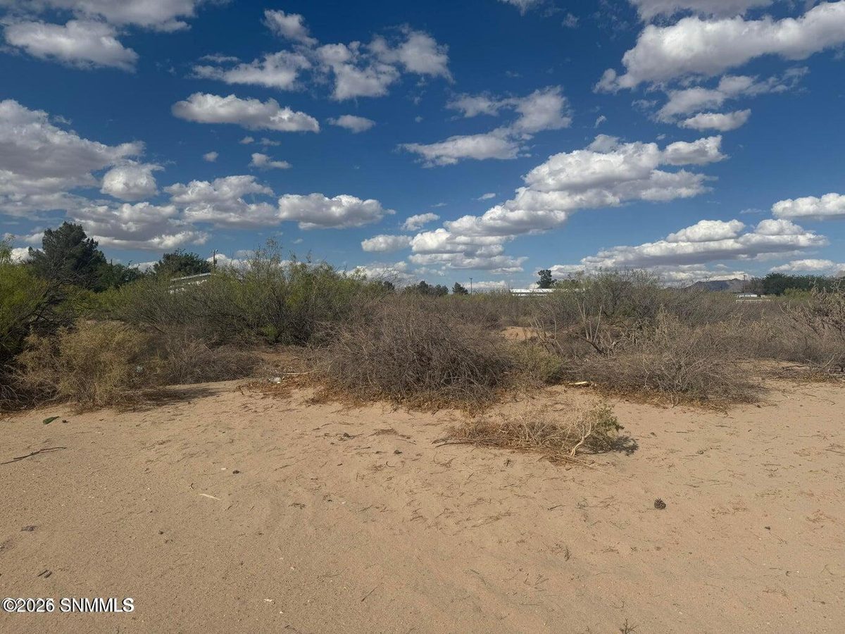 TBD Holliday, Las Cruces, NM 88007 photo 3