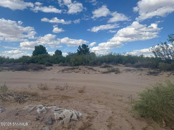 TBD Holliday, Las Cruces, NM 88007 photo 4
