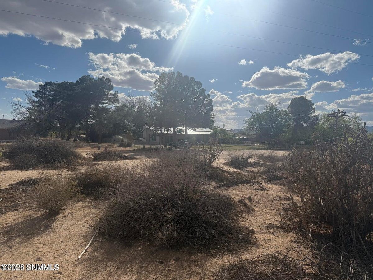 TBD Holliday, Las Cruces, NM 88007 photo 5