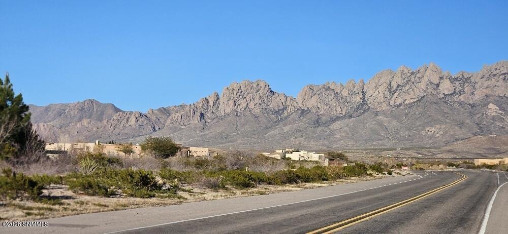 4150 Chia Court, Las Cruces, NM 88011, foto 6